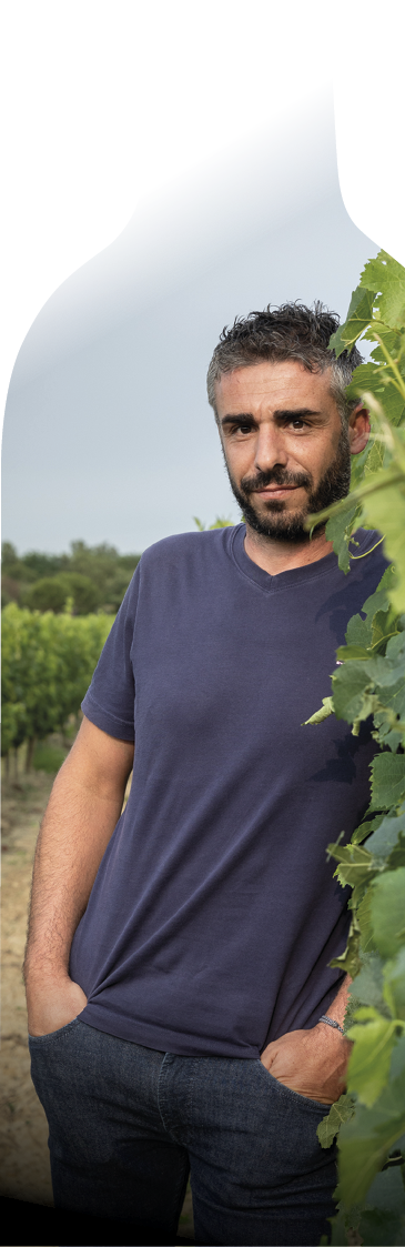Vigneron Blaye